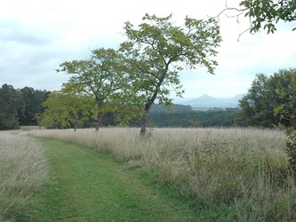 Naturschutzgebiet Eichberg