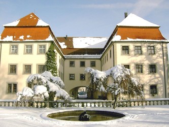 Schloss Geislingen