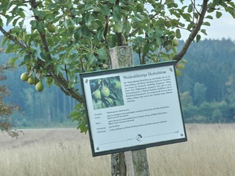 Streuobstlehrpfad