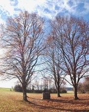 Kaiserstein im Herbst