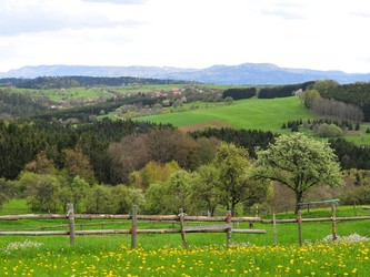 Natur ins Binsdorf